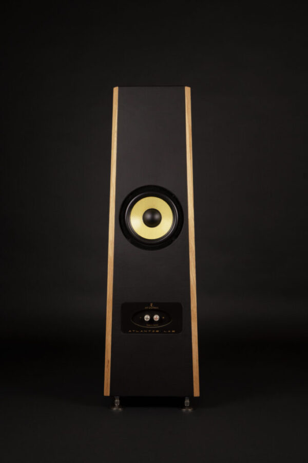 Atlantis Lab AT 23 Pro, Standlautsprecher – Bild 2