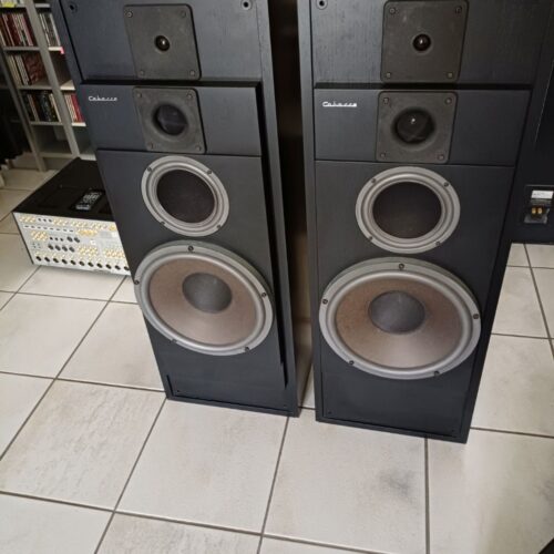 Cabasse Galion V Standlautsprecher High End Schwarz