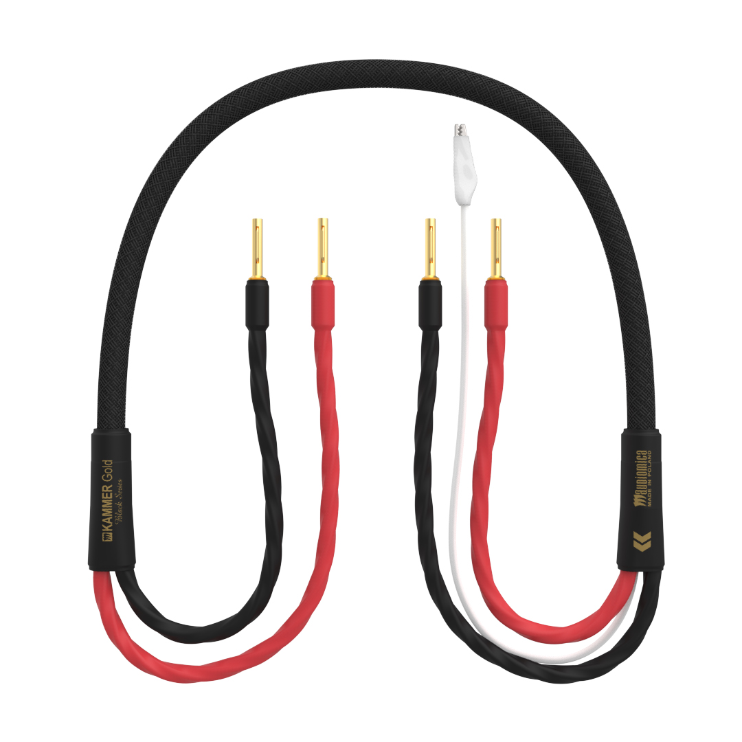 Audiomica Black Lautsprecherkabel – Bild 4