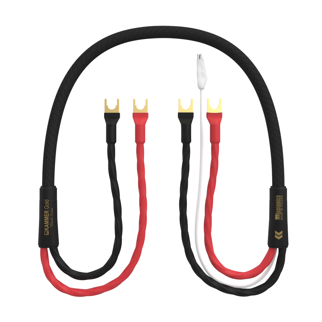 Audiomica Black Lautsprecherkabel – Bild 3