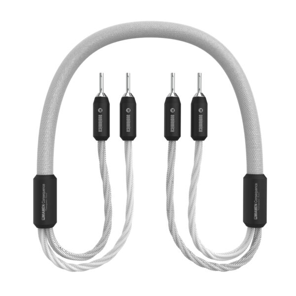 Audiomica Miamen Consequence Lautsprecherkabel – Bild 2