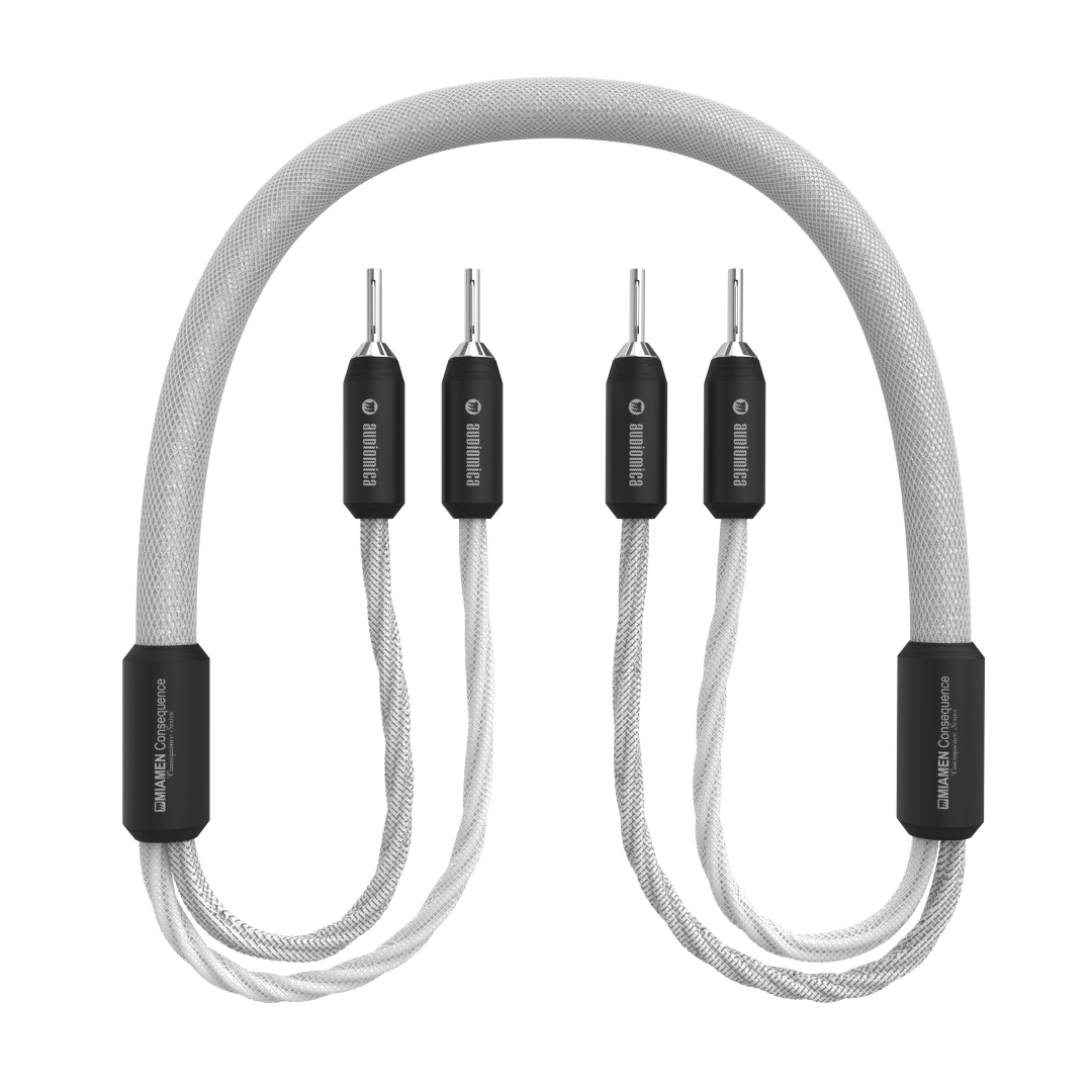 Audiomica Miamen Consequence Lautsprecherkabel – Bild 2